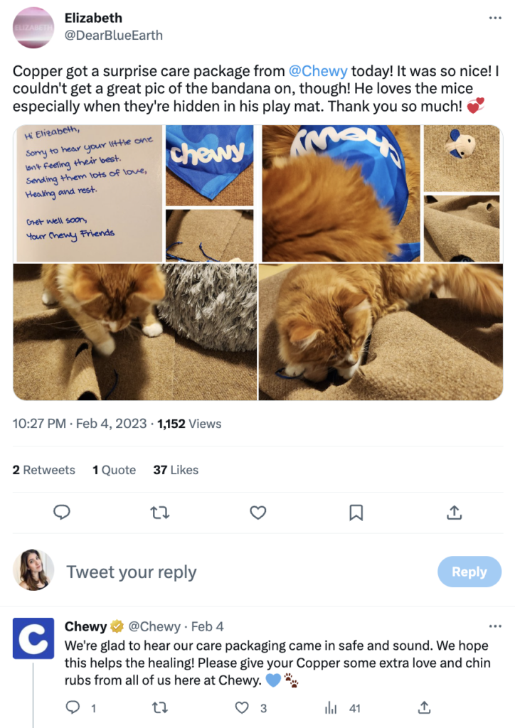 A Tweet showing photos of a handwritten note from Chewy wishing the customer's sick pet a swift recovery. A fluffy orange cat is present in each photo.