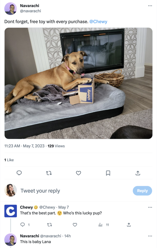 A screenshot of a Twitter conversation between a Chewy customer and Chewy. The brand asks the customer about their pet, continuing the social conversation beyond a typical response. 