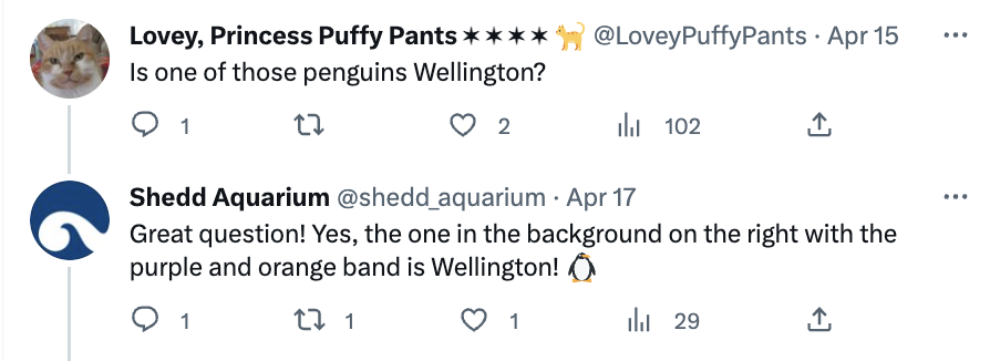 A screenshot of a customer asking Shedd aquarium a question on Twitter about one of the penguins in a video they posted, and Shedd Aquarium's response.